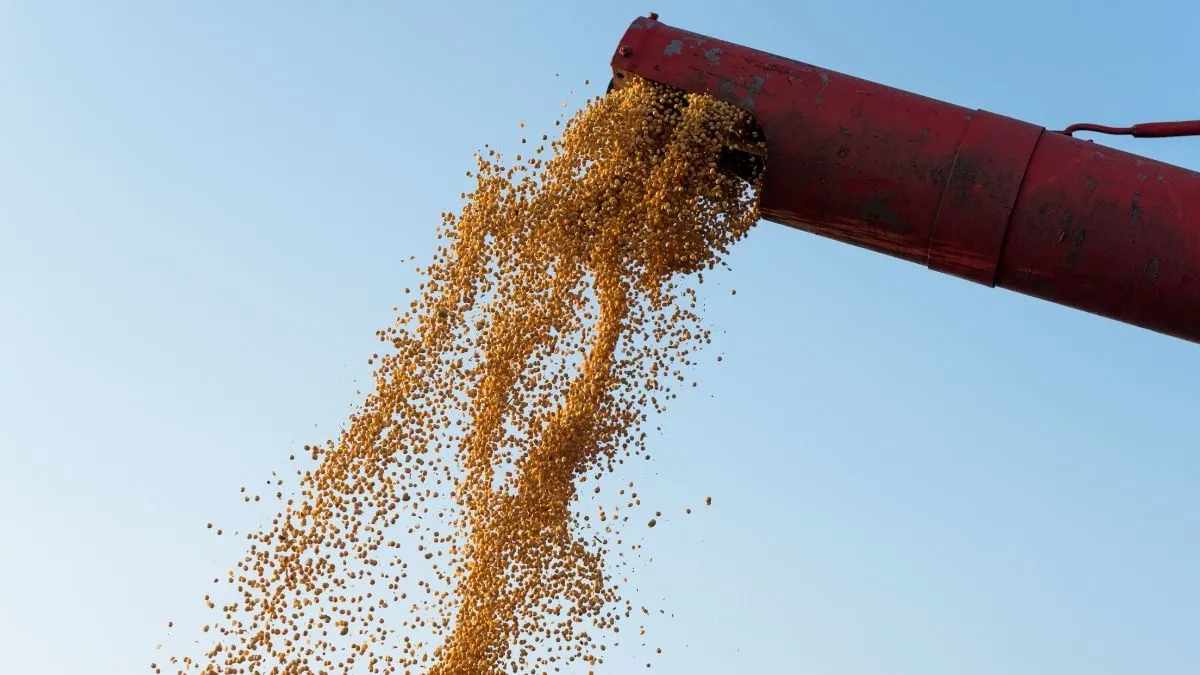 Approved for Final Reading: Mandatory Monthly Reporting on Wheat and Feed Stocks