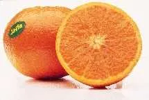 2006/7 - Citrus exports expected to grow 15%